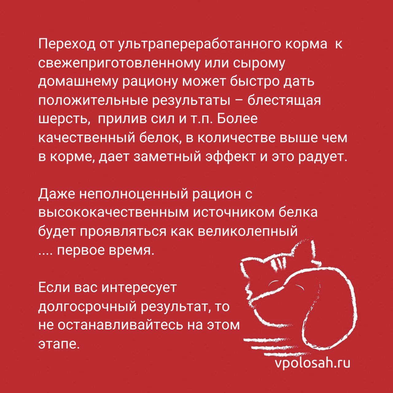 срок годности отзывов