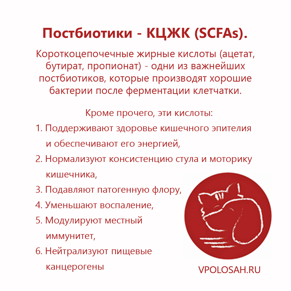 Постбиотики КЦЖК