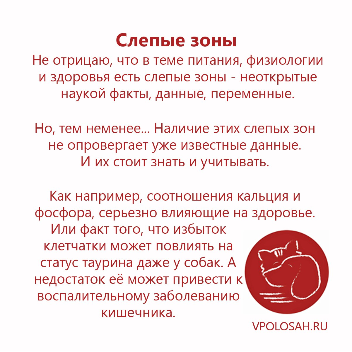 Слепые зоны