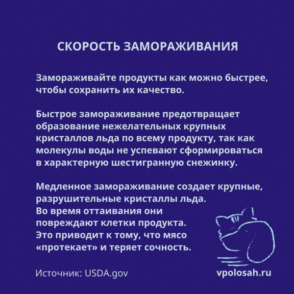 скорость заморозки