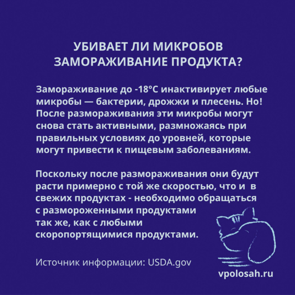 микробы при заморозке